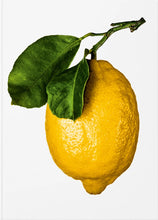 Ladda bild till bildvisaren The Gourmand´s Lemon