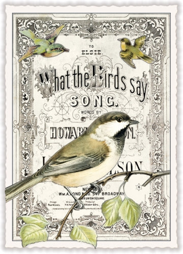 Carte Postale  What the Birds Say