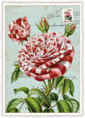 Carte Postale Polka Rose
