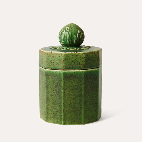 Hazelnut Can Moss