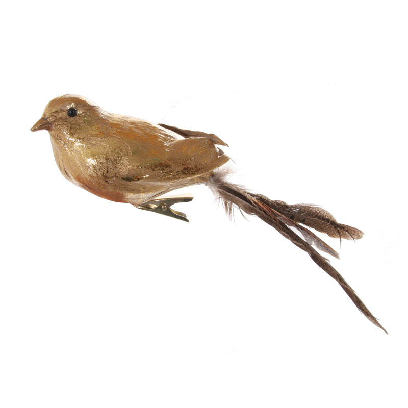 Feather Bird Gold Long Tail
