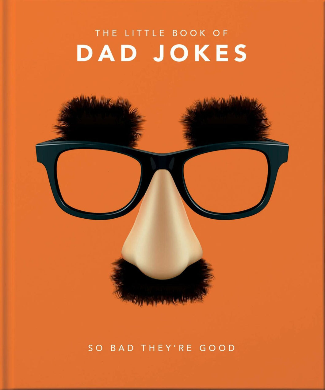 Little Book of Dad Jokes