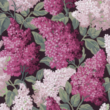 Ladda bild till bildvisaren Lilac Grandiflora 2 Roll set