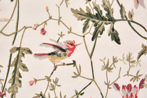 Hummingbirds Cotton<br>F62/1001</br>