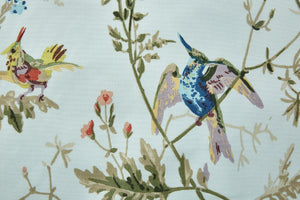 Hummingbirds Cotton<br>F62/1004</br>