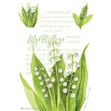 Ladda bild till bildvisaren Doftpåse Fresh Scents Lily of the Valley