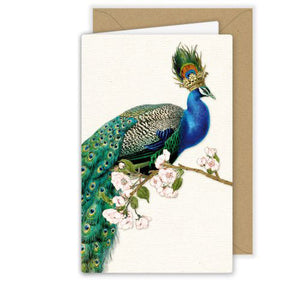 Peacock Dream Card