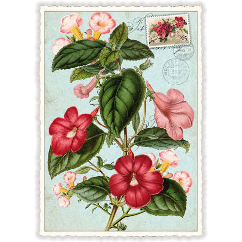 Carte Postale Fleur de Vigne