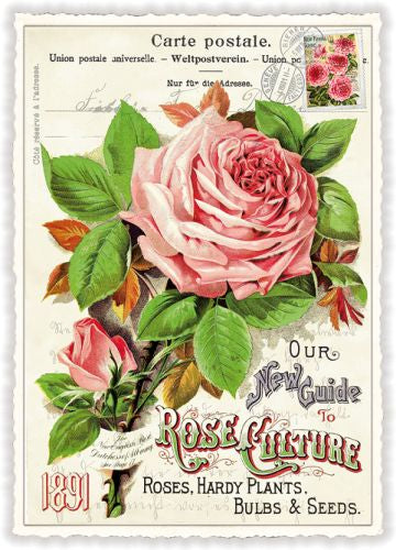 Carte Postale Rose Garden